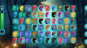 Butterfly Match Mystery