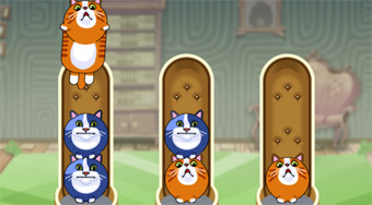 Cat Sorter Puzzle