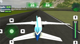 Real Flight Simulator