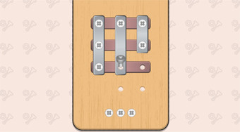 Nuts And Bolts Screw Puzzle